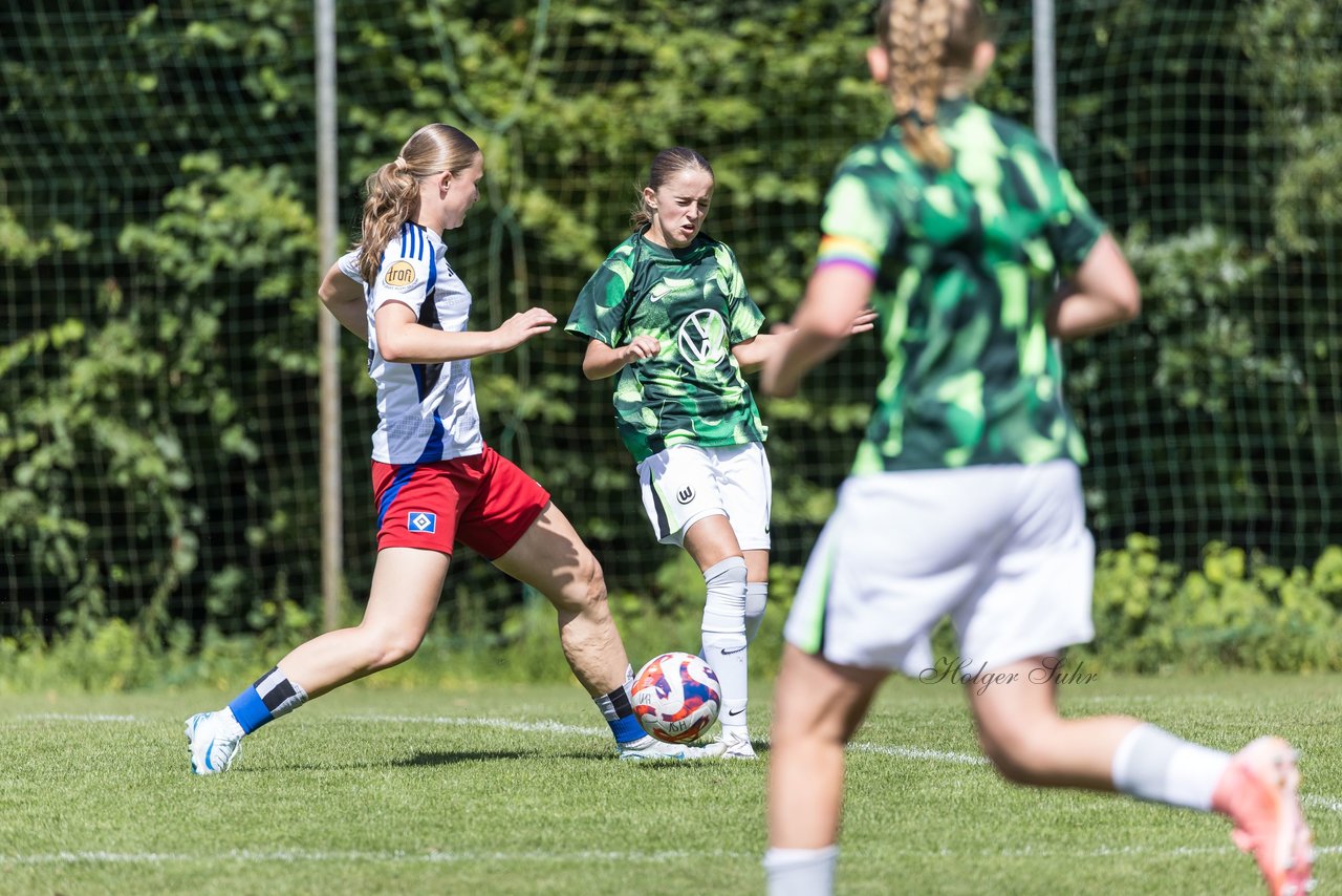 Bild 294 - wBJ Hamburger SV - VfL Wolfsburg : Ergebnis: 5:1